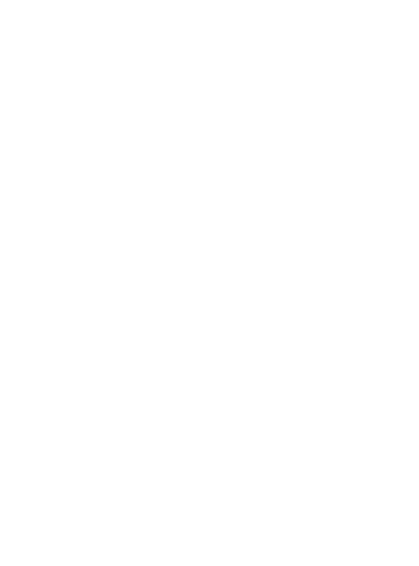 The PAP Foundation logo