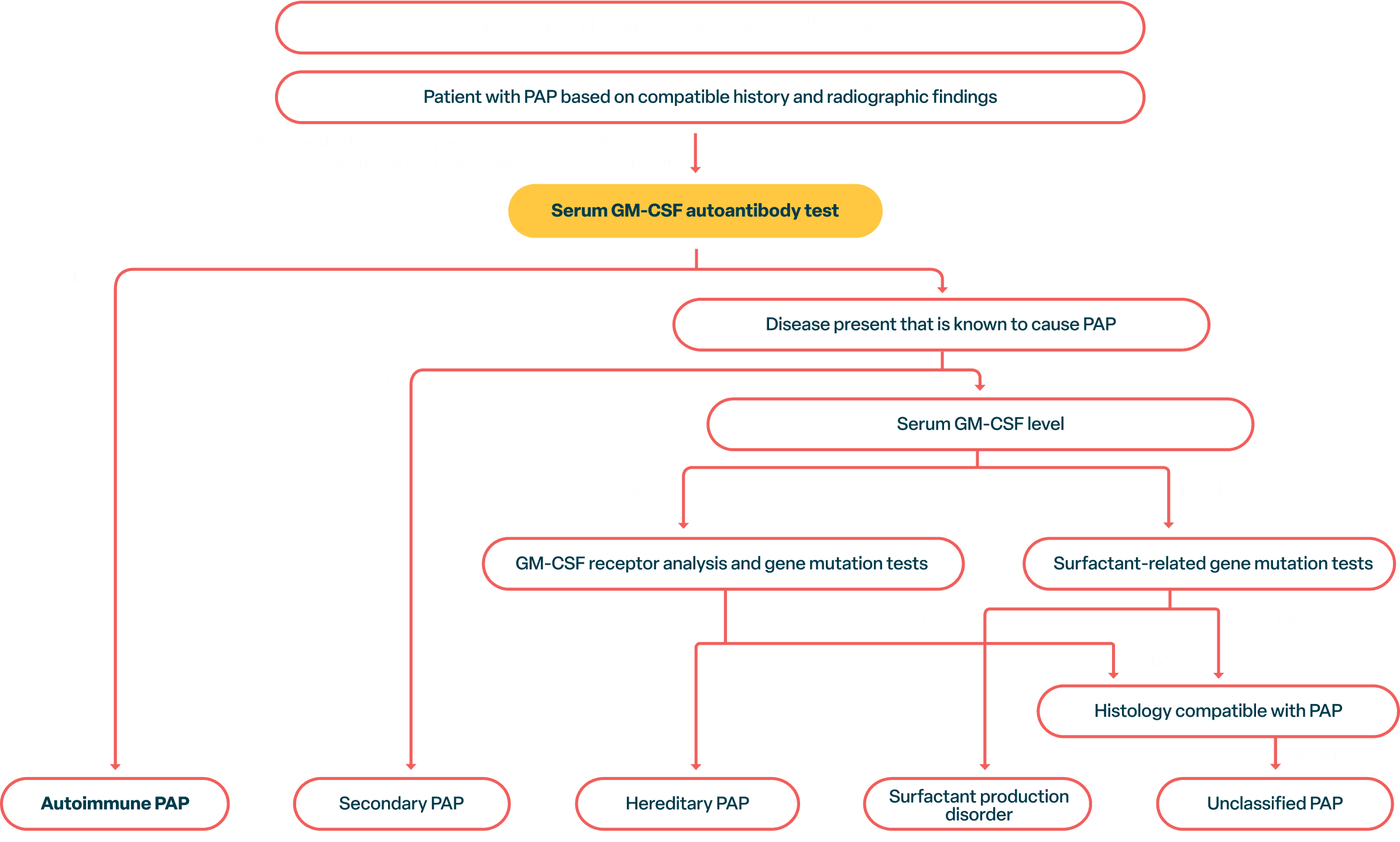 Algorithm shows only a GM-CSF autoantibody test identifies aPAP specifically. Other tests only identify other types of PAP